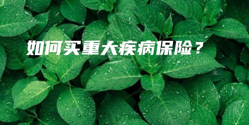 如何买重大疾病保险？-保点通