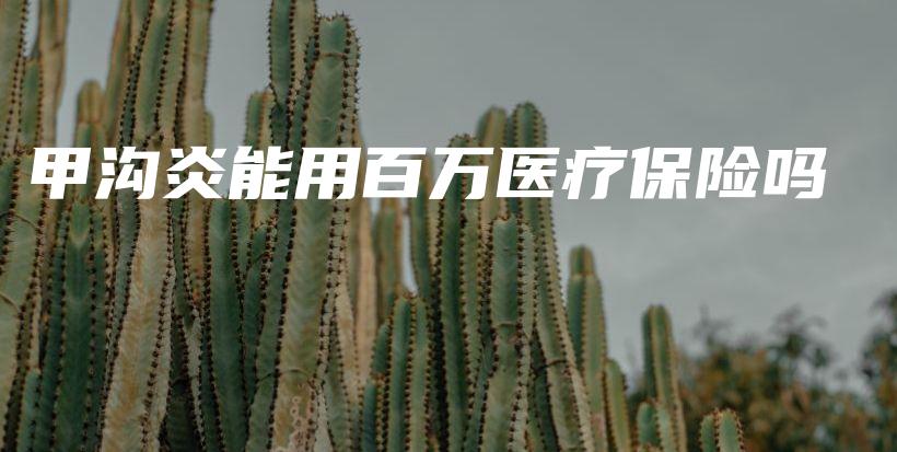 甲沟炎能用百万医疗保险吗-保点通