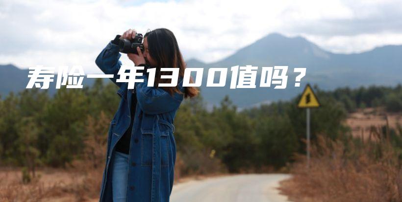 寿险一年1300值吗？-保点通