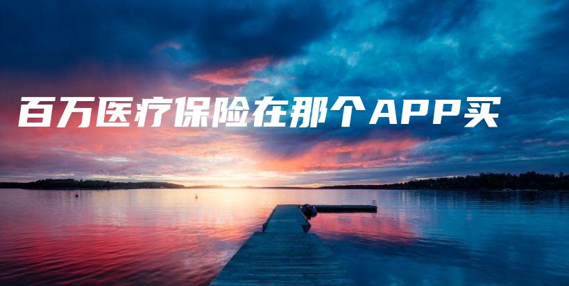 百万医疗保险在那个APP买-保点通