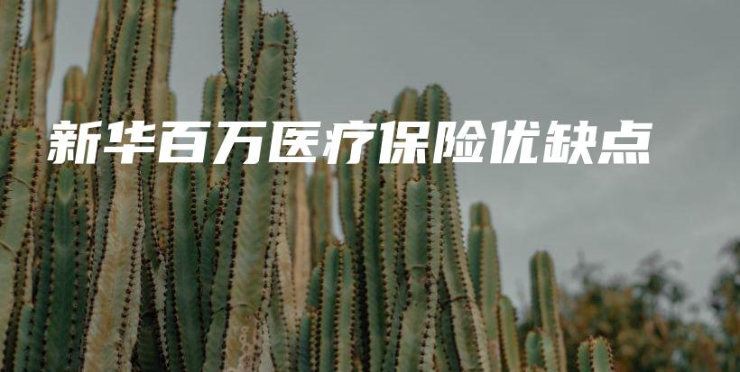 新华百万医疗保险优缺点-保点通