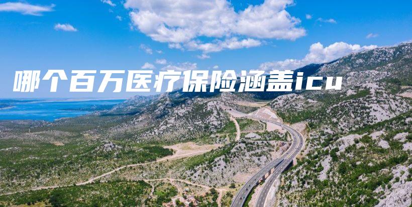 哪个百万医疗保险涵盖icu-保点通