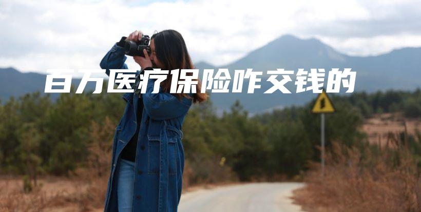 百万医疗保险咋交钱的-保点通