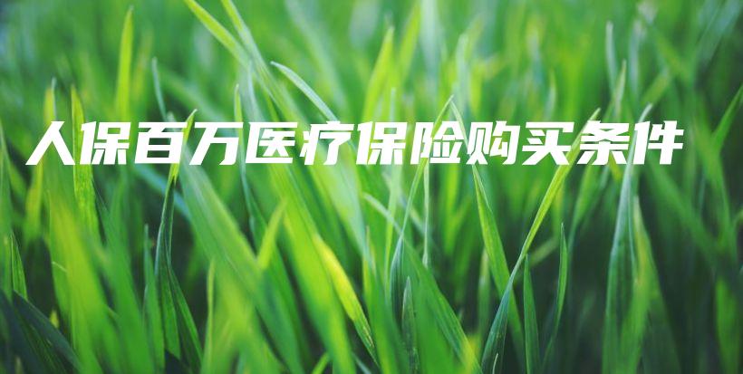 人保百万医疗保险购买条件-保点通