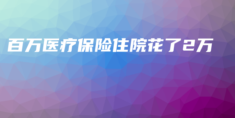 百万医疗保险住院花了2万-保点通