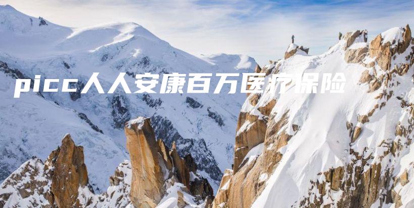 picc人人安康百万医疗保险-保点通