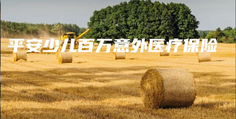 平安少儿百万意外医疗保险-保点通