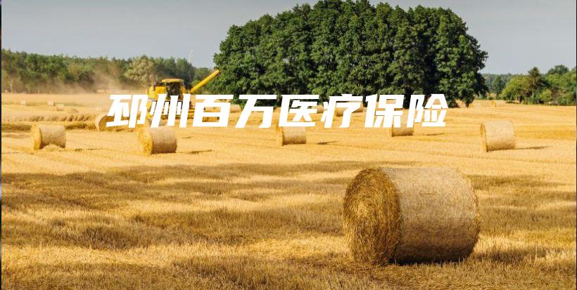 邳州百万医疗保险-保点通