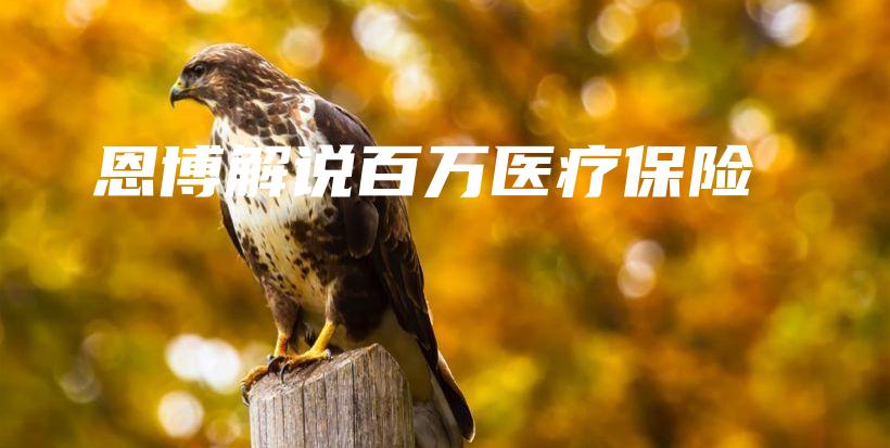 恩博解说百万医疗保险-保点通