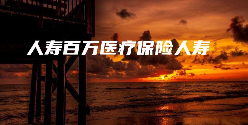 人寿百万医疗保险人寿-保点通