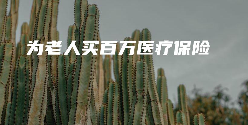 为老人买百万医疗保险-保点通