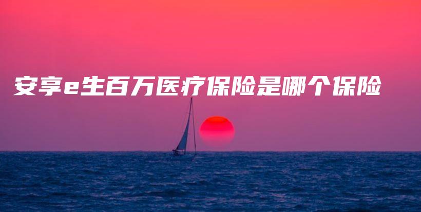 安享e生百万医疗保险是哪个保险-保点通