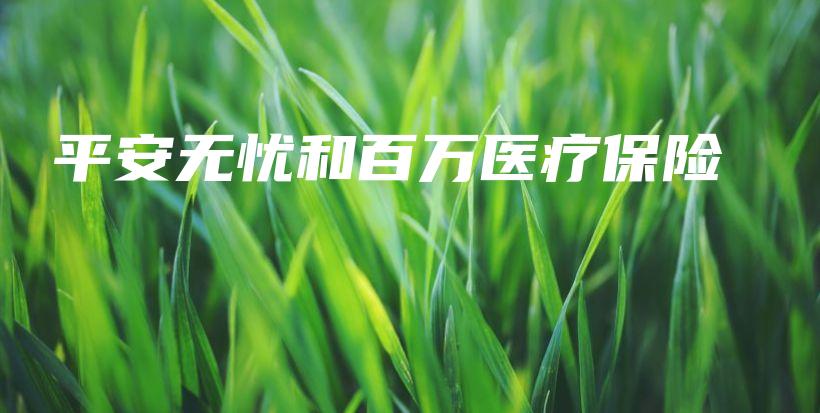 平安无忧和百万医疗保险-保点通