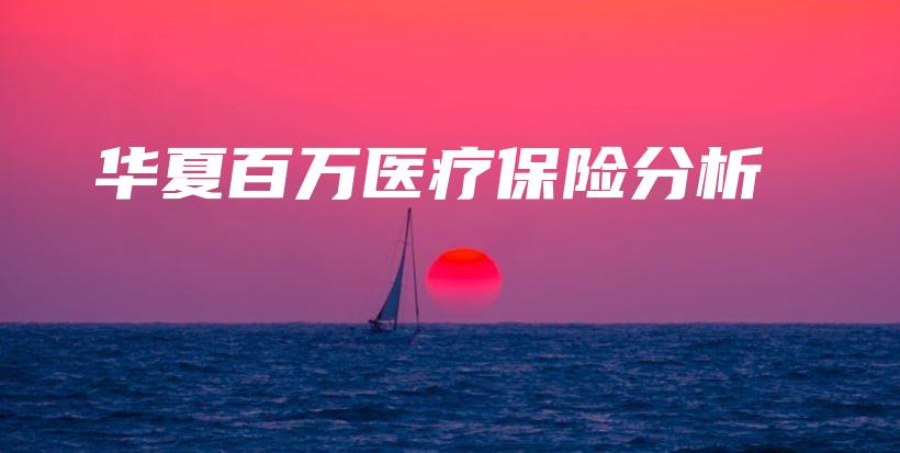 华夏百万医疗保险分析-保点通