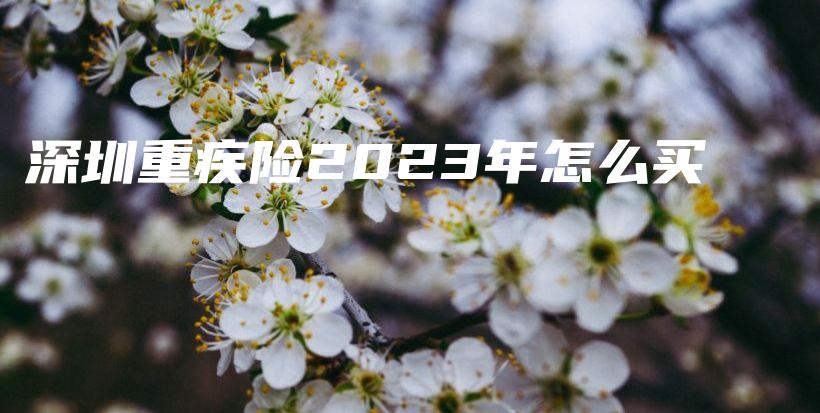 深圳重疾险2023年怎么买-保点通