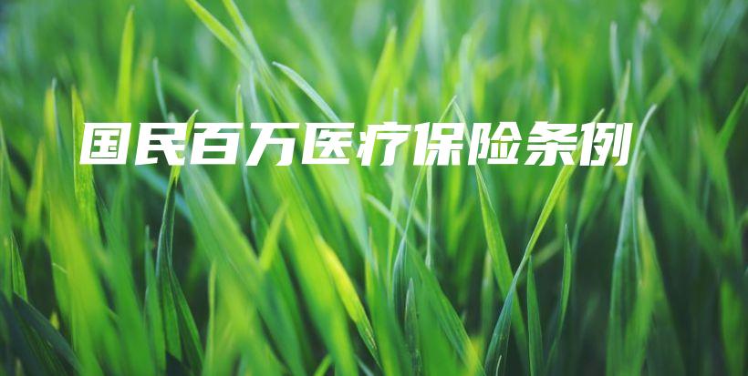 国民百万医疗保险条例-保点通