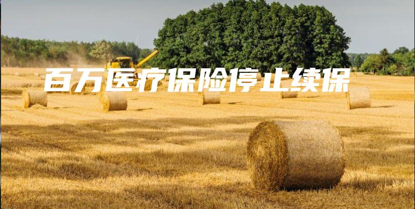 百万医疗保险停止续保-保点通