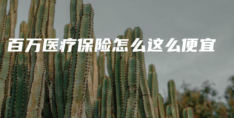 百万医疗保险怎么这么便宜-保点通