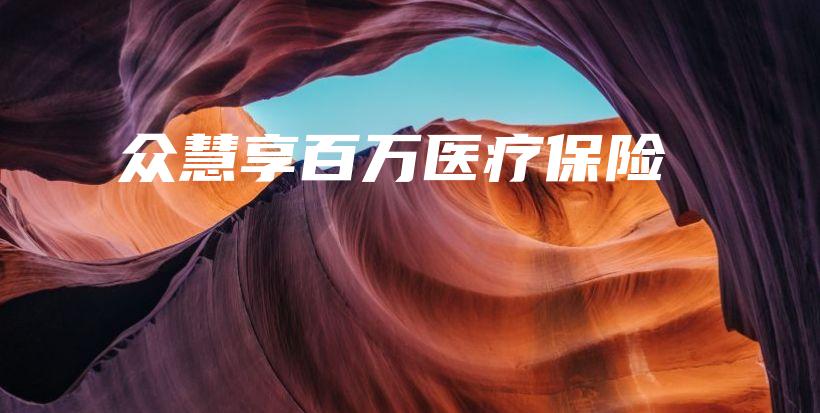 众慧享百万医疗保险-保点通