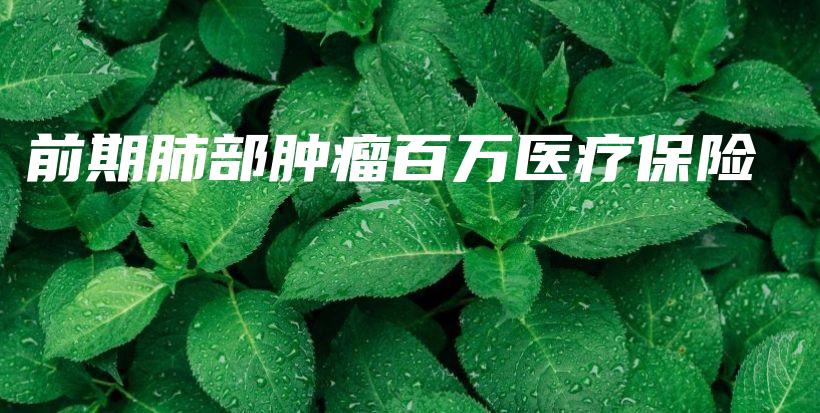 前期肺部肿瘤百万医疗保险-保点通