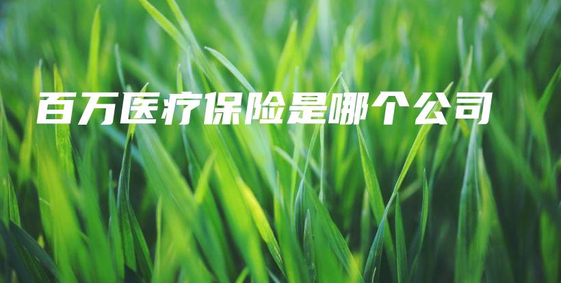 百万医疗保险是哪个公司-保点通