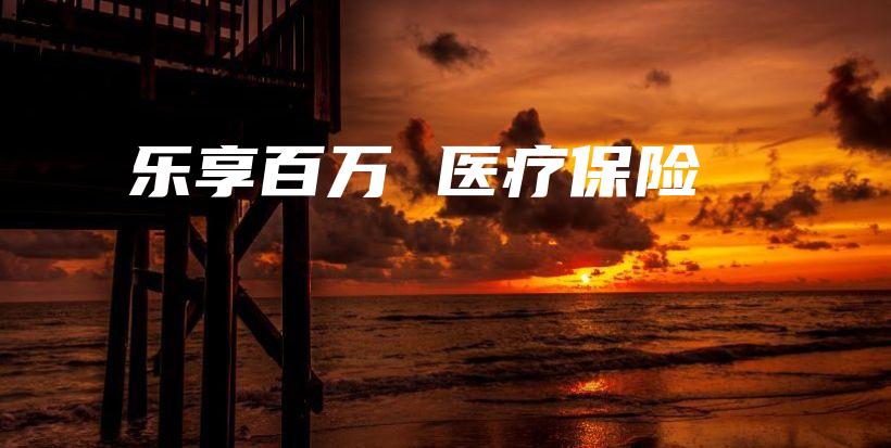 乐享百万 医疗保险-保点通