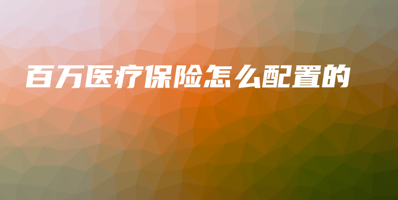 百万医疗保险怎么配置的-保点通