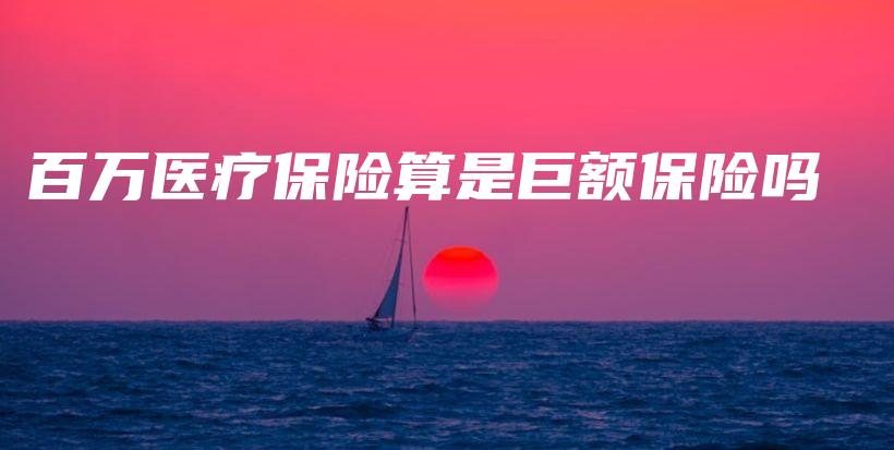百万医疗保险算是巨额保险吗-保点通