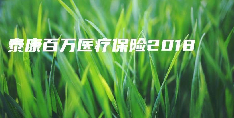 泰康百万医疗保险2018-保点通