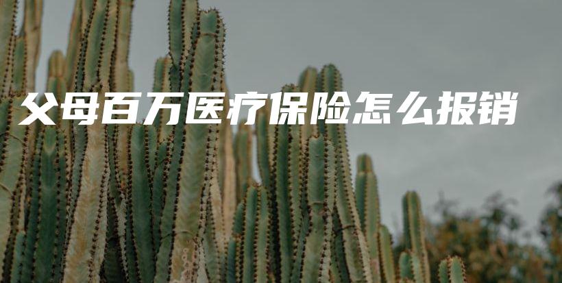 父母百万医疗保险怎么报销-保点通
