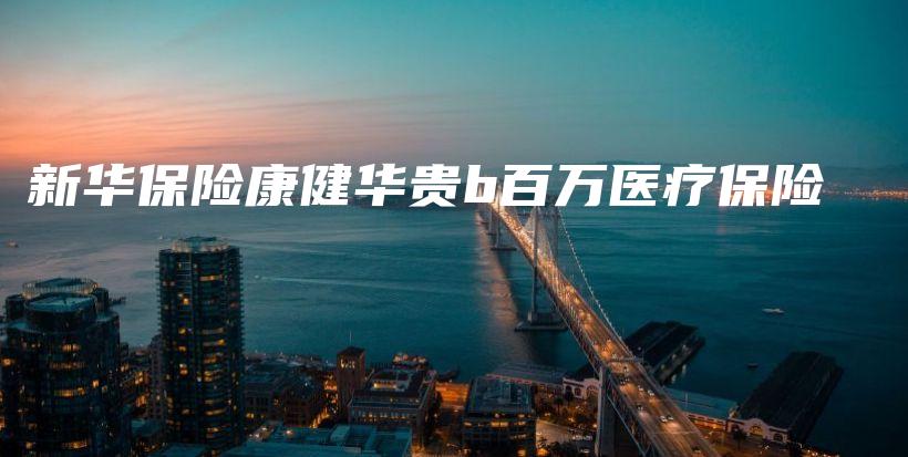 新华保险康健华贵b百万医疗保险-保点通