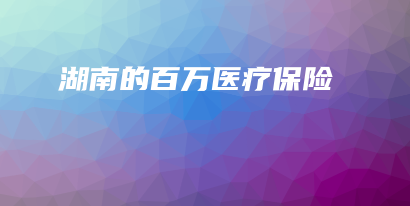 湖南的百万医疗保险-保点通