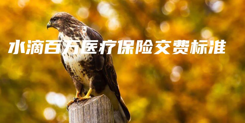 水滴百万医疗保险交费标准-保点通