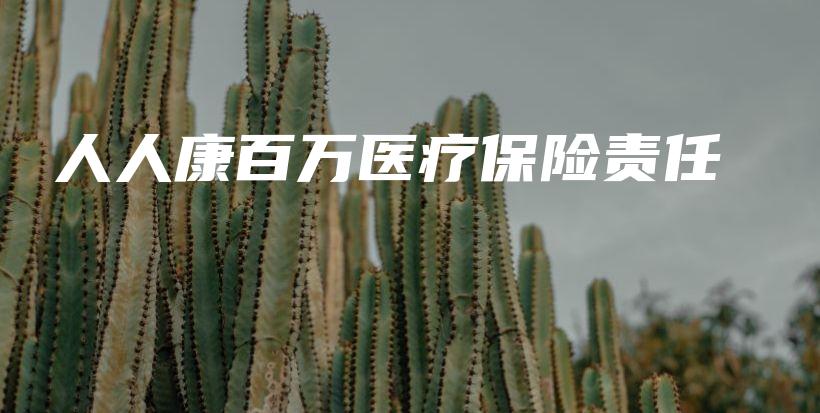人人康百万医疗保险责任-保点通