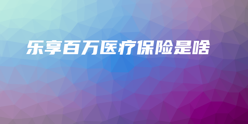 乐享百万医疗保险是啥-保点通