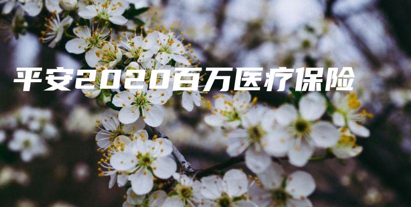 平安2020百万医疗保险-保点通