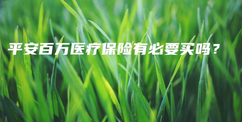 平安百万医疗保险有必要买吗？-保点通