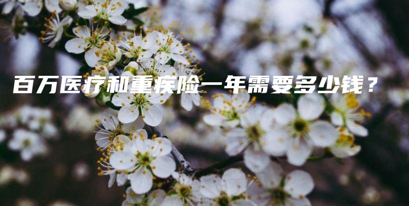 百万医疗和重疾险一年需要多少钱？-保点通
