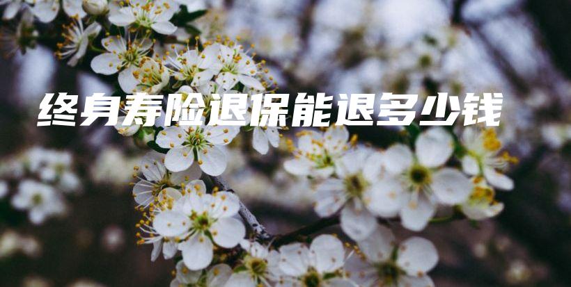 终身寿险退保能退多少钱-保点通