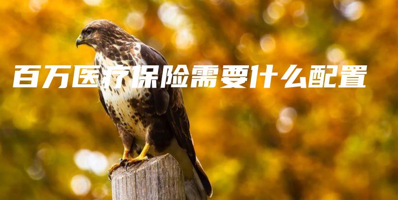 百万医疗保险需要什么配置-保点通