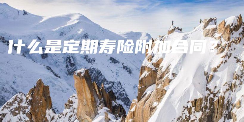 什么是定期寿险附加合同？-保点通