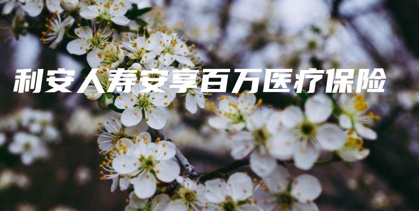 利安人寿安享百万医疗保险-保点通
