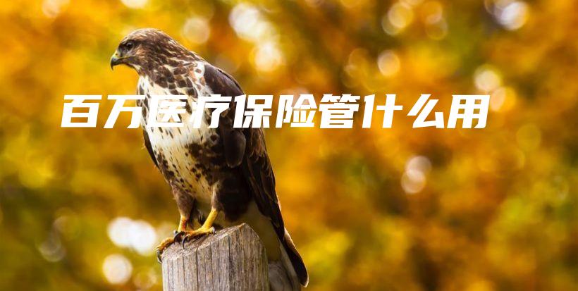 百万医疗保险管什么用-保点通