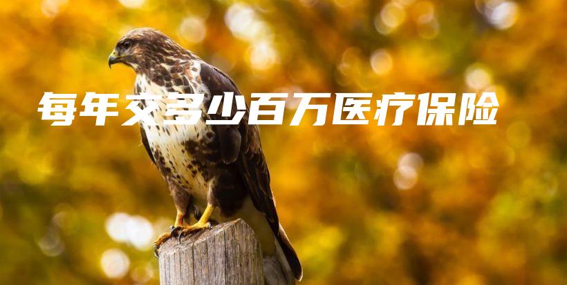 每年交多少百万医疗保险-保点通