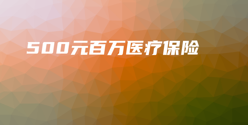 500元百万医疗保险-保点通