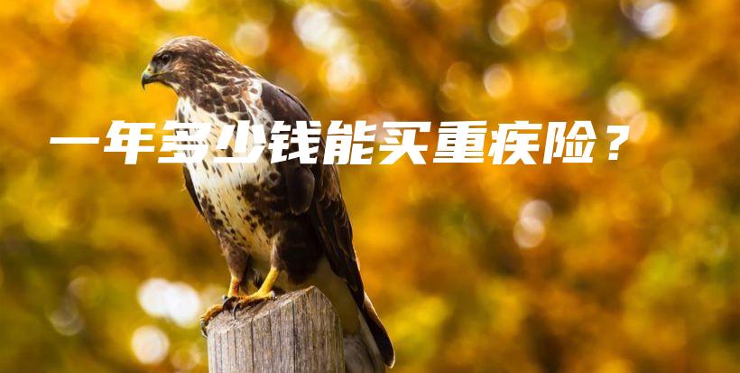 一年多少钱能买重疾险？-保点通