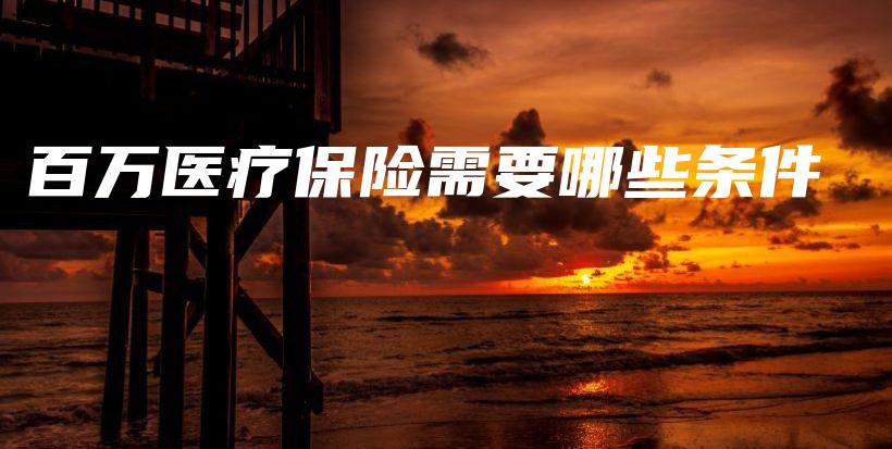 百万医疗保险需要哪些条件-保点通