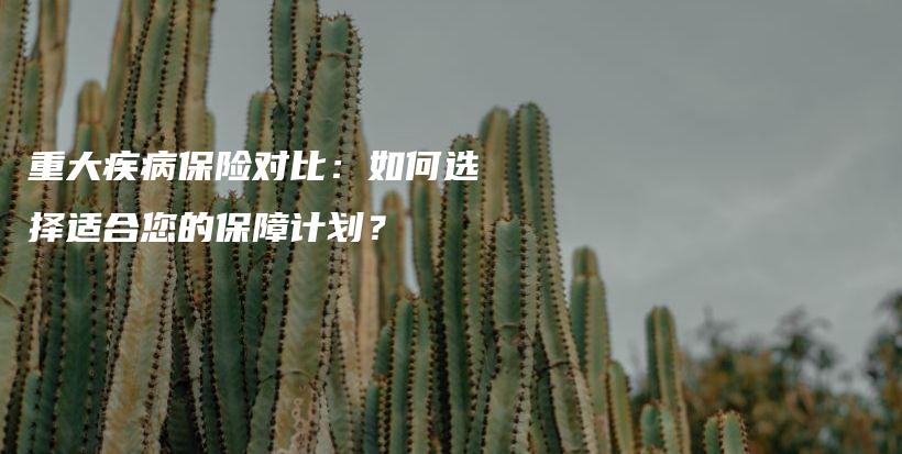 重大疾病保险对比：如何选择适合您的保障计划？-保点通