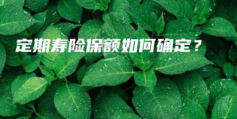 定期寿险保额如何确定？-保点通
