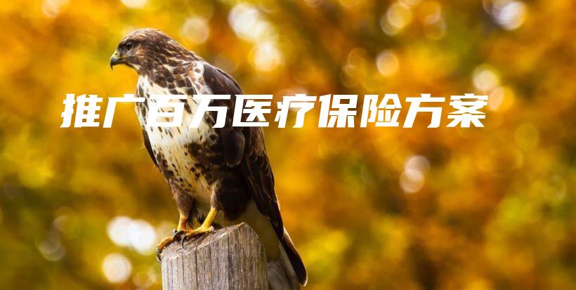 推广百万医疗保险方案-保点通